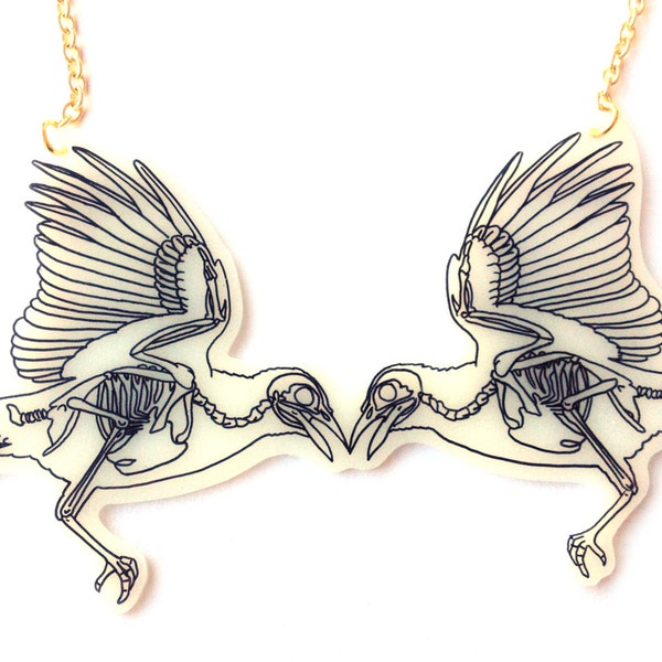Bird Skeletons Etsy Bird Skeletons Etsy