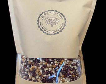 Organic Multi Colored Popcorn Kernels (Heirloom) – Non-GMO Verified