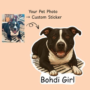 May include: Custom sticker featuring a black and white dog, labeled "Bohdi Girl." The dog is lying down with a happy expression. The sticker is on a peach background with the text "Your Pet Photo -> Custom Sticker."