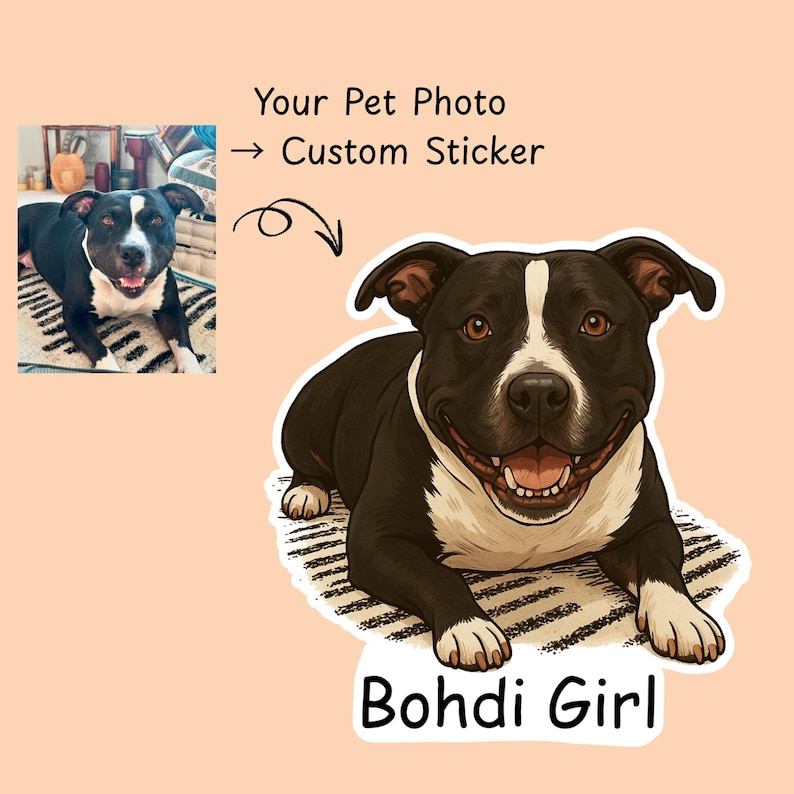 May include: Custom sticker featuring a black and white dog, labeled "Bohdi Girl." The dog is lying down with a happy expression. The sticker is on a peach background with the text "Your Pet Photo -> Custom Sticker."
