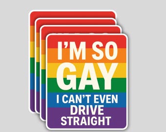 4PCS I’m So Gay Pride Stickers – Funny LGBTQ+ Bumper Decals – Rainbow Car Vinyl Stickers for Laptop, Water Bottle, Window, or Notebook