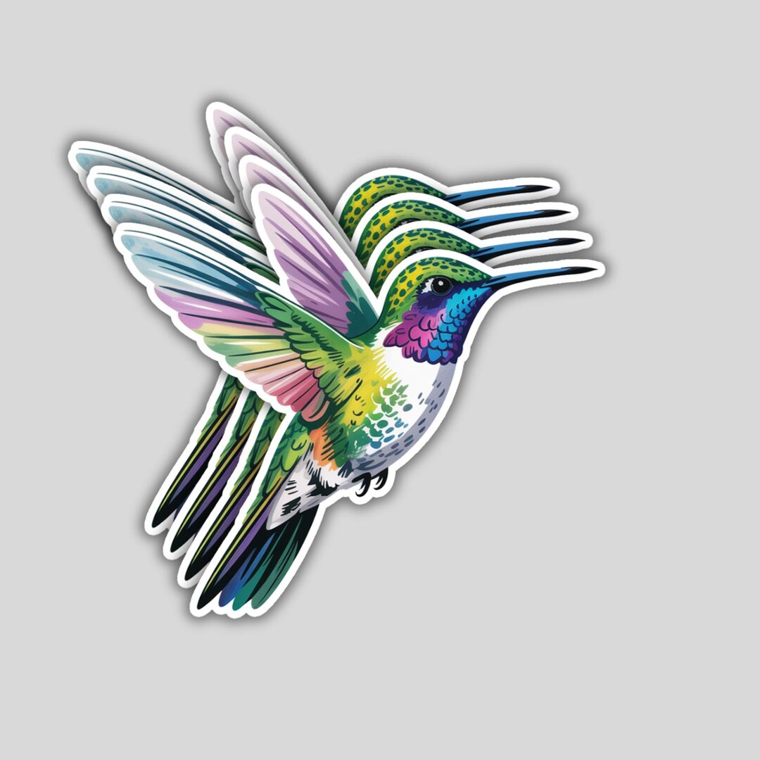 4PCS Colorful Hummingbird Art Stickers – Vibrant Bird Illustration ...