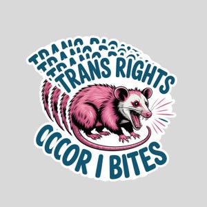 May include: A sticker featuring a pink opossum with an open mouth, surrounded by the text "TRANS RIGHTS OCCOR I BITES" in a blue font. The opossum has white and pink accents.