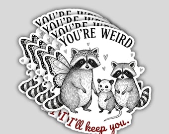 4PCS You're Weird I'll Keep You Stickers – Cute Raccoon Opossum Quote Vinyl Decal Gift Set
