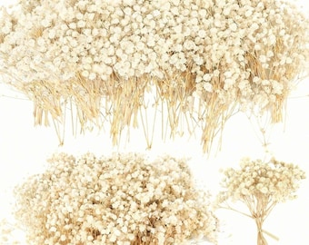 4700+ Mini Dried Babys Breath Flowers, 90+Pcs Ivory White Baby Breath Flower Bulk, Dried Flowers for Crafts, Wedding Dec, Personalized touch