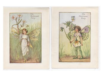 Litografías de hadas de las flores, c. 1935 • Juego de 2 láminas originales de época • Botánica • Jardín de flores • Hadas de las flores • Punto de cruz y Alhelí