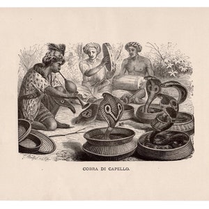 Könnte beinhalten: Eine Schwarzweiß-Gravur, die eine Gruppe von Menschen zeigt, die Musik spielen, während ein Schlangenbeschwörer einem Kobra in einem Korb Flöte spielt. Der Text "COBRA DI CAPELLO" ist unter dem Bild gedruckt.