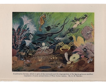 MERMAID OCEAN LANDSCAPE vintage print c. 1934 - original vintage lithograph - ocean print - sea life - fish octopus starfish anemone crab