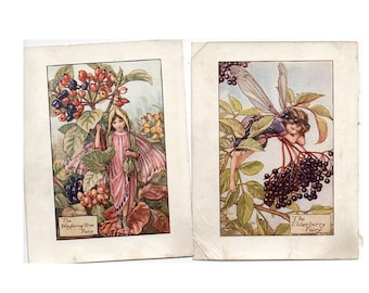 FLOWER FAIRY lithographs c. 1935 • set of 2 original vintage prints • botanical flower garden • flower fairies • wayfaring tree & elderberry