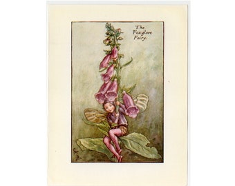 c. 1935 FOXGLOVE FLOWER FAIRY lithograph • original vintage print • botanical print • flower garden • pink flower fairies print • digitalis