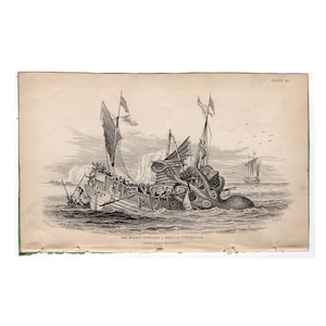 DER KRAKEN antike Druck c. 1839 • original alter Stich • Seeungeheuer • Jardine von Lizar • angeblicher Sepia oder Tintenfisch • RAR!
