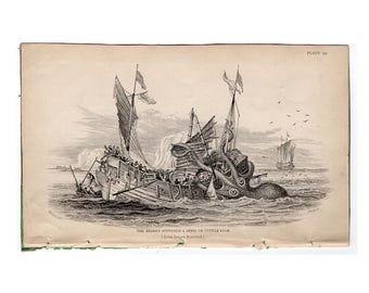 THE KRAKEN antique print c. 1839 • original antique engraving • sea monster print • Jardine by Lizar • supposed sepia or cuttle fish • RARE!