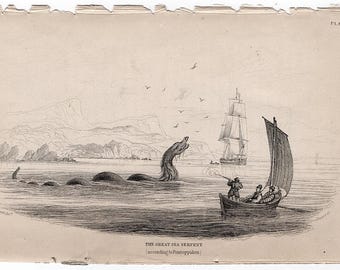 SEA SERPENT engraving c. 1839 - original antique print • sea monster - sea creature print - Loch Ness monster - mythical sea monster