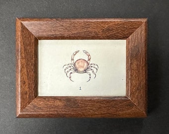 TINY! framed PEA CRAB lithograph c. 1907 • original antique print • crab print • Ocean print • sea life print