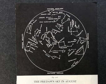 c.1977 AUGUST STAR MAP - celestial zodiac constellation print - vintage astronomy print - dawn sky chart - showing planets & asterisms