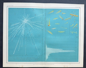 May include: A vintage astronomy print on a light blue background featuring a starburst diagram of meteor tracks, a section of yellow comet-like illustrations, and a white line graph showing the rate of meteors observed on November 13-14, 1866.