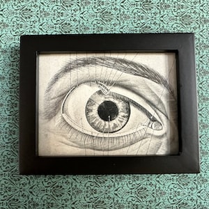 c. 1950&#39;s small framed EYE lithograph • original vintage print • human anatomy print • medical illustration • ophthalmology print
