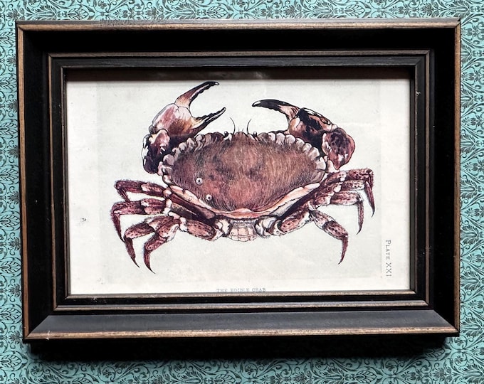 アンディ・ウォーホル - 「ミック・ジャガー」 - 希少なオリジナル