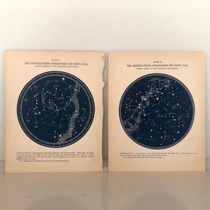 grabados antiguos c. 1888 • CONSTELLATION PRINTS • grabados astronómicos antiguos • estrellas que rodean los polos norte y sur • conjunto de 2 mapas estelares
