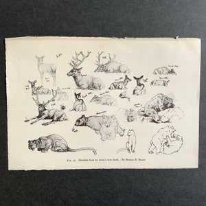 c. 1934 ANIMAL SKETCHES lithograph - vintage animal print - Zoo animal from National Zoological Park -  ELK print on dark paper