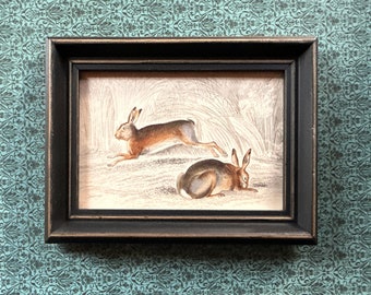 c. 1845 FRAMED BROWN HARE engraving • original antique print • rabbit print • bunny • lepus print • Jardine animal print • Easter • rabbits