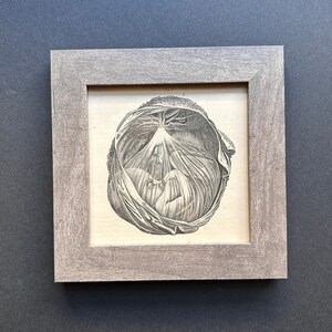 framed c. 1860 BABY IN WOMB lithograph • original antique print • female anatomy • Mother&#39;s Day • pregnant • childbirth • in utero • embryo