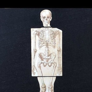 c. 1902 SKELETON ANATOMY print - 3D interactive medical illustration - antique human anatomy print - skeletal system - bones print