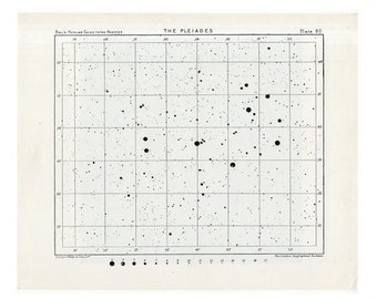 c.1955 VINTAGE PLEIADES star map - The Pleiades in Taurus - vintage astronomy print - celestial star chart - the seven sisters - with grid