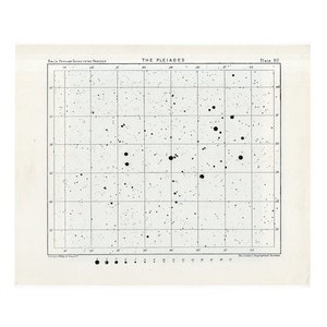 c.1955 VINTAGE PLEIADES mappa stellare - Le Pleiadi in Toro - stampa astronomica vintage - grafico stella celeste - le sette sorelle - con griglia