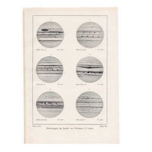 c. 1911 JUPITER PLANET print - original antique astronomy print - solar system print - different views of Jupiter&#39;s surface