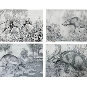 c. 1934 PREHISTORIC ANIMALS PRINTS - Smithsonian Museum Natural History - original vintage prints - set of 4 - Extinct animals - dinosaur