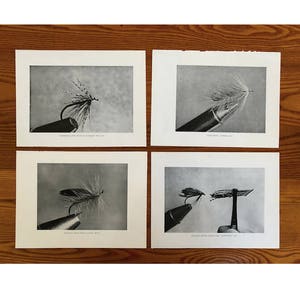May include: Four black and white photographs of fly fishing flies. The flies are tied on hooks and are shown in various stages of completion. The photographs are labeled with the names of the flies.