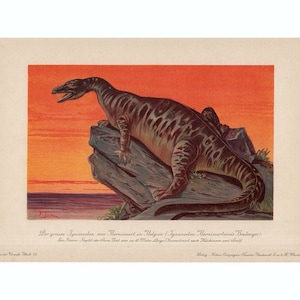 c. 1902 IGUANODON lithograph • original antique print • prehistoric animal print •  extinct animal • dinosaur print • I. bernissartensis