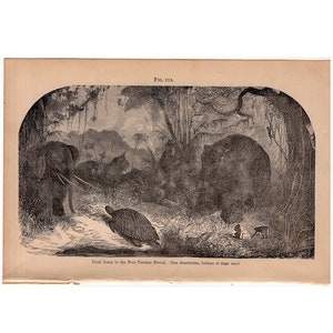 c. 1877 PREHISTORIC ANIMALS PRINT - original antique print - extinct animals - prehistoric scene - post tertiary scene