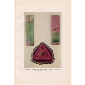 1934 TOURMALINE CRYSTAL print original vintage gem rock mineral hardstone precious semiprecious stone jewel gemstone lithograph - lapidary