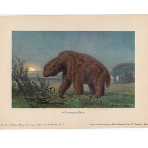 c. 1902 GROUND SLOTH lithograph • original antique print • dinosaur print • fossil reptile - extinct animal - prehistoric animal • by Harder