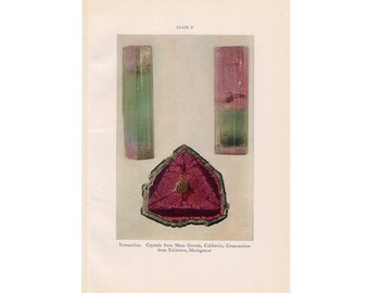 1934 TOURMALINE CRYSTAL imprimir original vintage gem rock mineral piedra dura preciosa piedra semipreciosa piedra piedra piedra litografía - lapidario