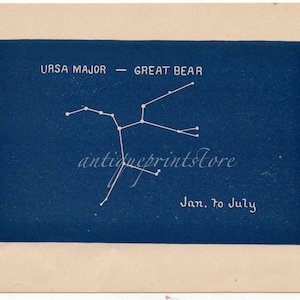 c. 1909 URSA MAJOR - the great bear mini constellation chart original antique unusual and rare celestial astronomy print -