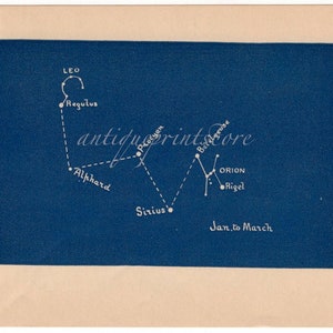 c. 1909 ALPHARD LEO ORION lithograph • mini constellation chart • original antique unusual rare celestial astronomy print - sirius rigel