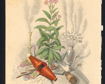 TOBACCO PLANT PERSONIFIED engraving c. 1867 • original antique print • botanical engraving • botany print • Grandville's Les Fleurs Animees