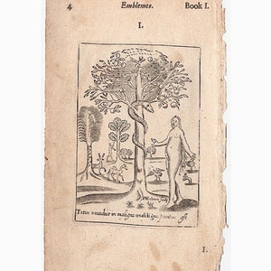 17thC EVE & SERPENT engraving • original antique print • tree of the knowledge • good and evil • Bible • Adam and Eve • Garden of Eden