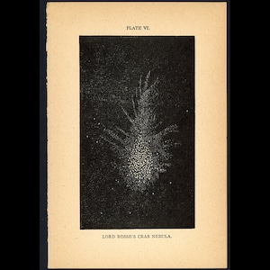 c. 1848 CRAB NEBULA engraving - original antique print • celestial • astronomy • Constellation print • Galaxy • Solar System • Lord Rosse