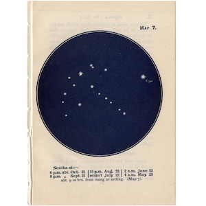 1948 CYGNUS CONSTELLATION STARS litografía - mini mapa de constelación - impresión vintage original - astronomía celestial - no 7