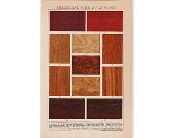 c. 1903 TYPES OF WOOD lithograph • original antique print • parquet flooring • wood samples print • timber print • wood plank ligneous