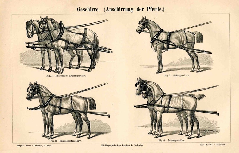 1894 ANTIQUE HORSE LITHOGRAPH harness horses original antique animal print image 2