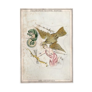 selten ! H. 1825 DELFIN ARROW ADLER Konstellations Druck • antiker Druck • Astronomie Sternenkarte • Himmelskörper aus Uranias Spiegel