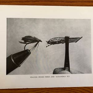 May include: Close-up of a black and silver fly tying tool with peacock sword fibers and a "Alexandra" fly.