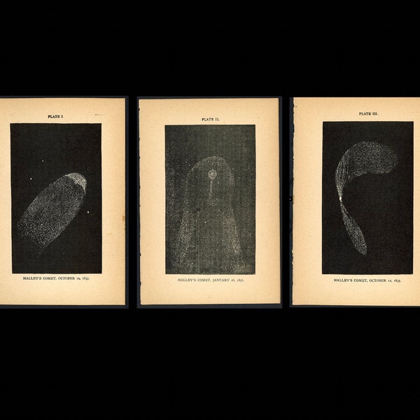 c. 1848 HALLEY'S COMET engravings • set of 3 original antique prints • famous comet prints • periodical comet • comet head • 1P/Halley