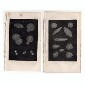 c. Nébuleuse de 1842 • gravure ancienne originale • gravure d'astronomie • décoration murale céleste • carte des étoiles • système solaire • galaxie • lot de 2