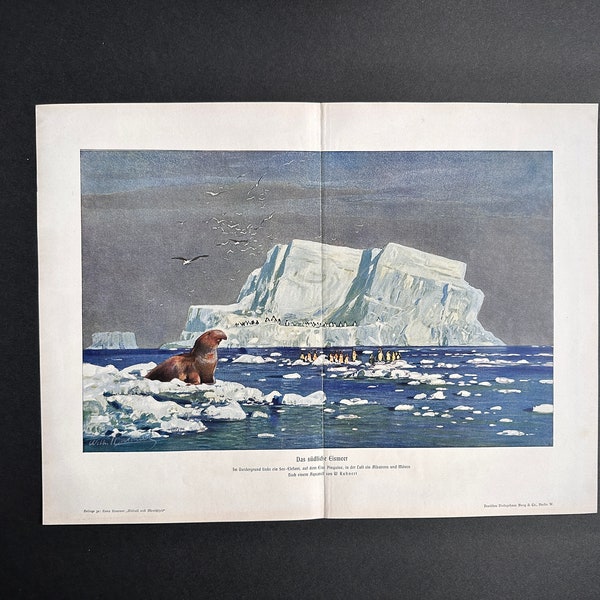 C. 1900 OCÉANO ANTÁRTICO litografía • impresión antigua original • marina - glaciar iceberg foca y pingüinos polo sur - Antártida Continente